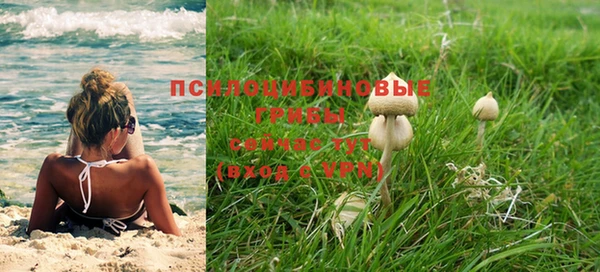 гидропоника Вязьма