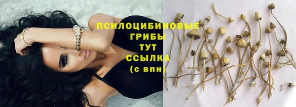 apvp Россошь