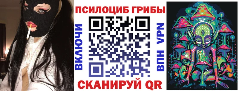 продажа наркотиков  Плавск  Галлюциногенные грибы прущие грибы 